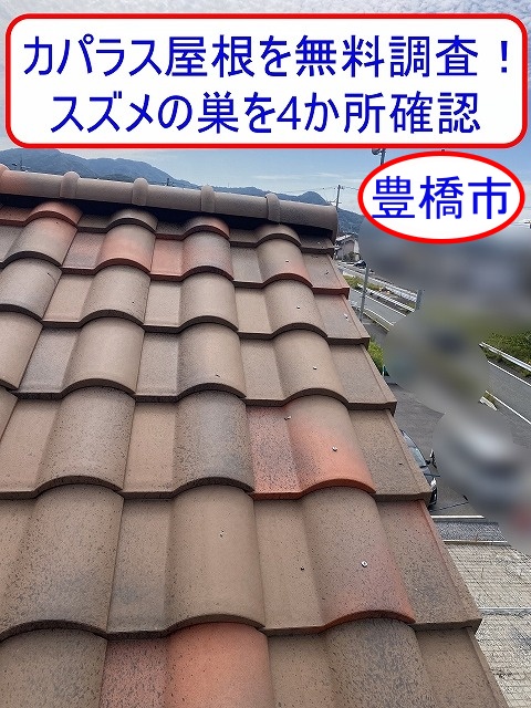 豊橋市で洋風瓦カパラス屋根を点検｜棟のスポンジ状防水材に穴が開きスズメの巣を4か所確認